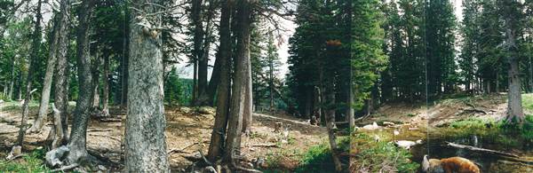 Fairy Lake (1/1/2000)