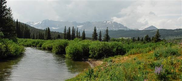 Cut Bank Creek (Confluence) (7/10/2008 - Credits: John Ansotegui)