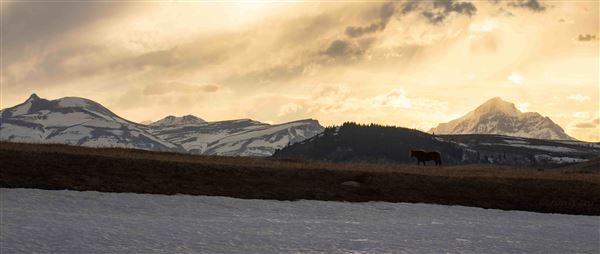 Blackfeet Indian Reservation (1/8/2026)