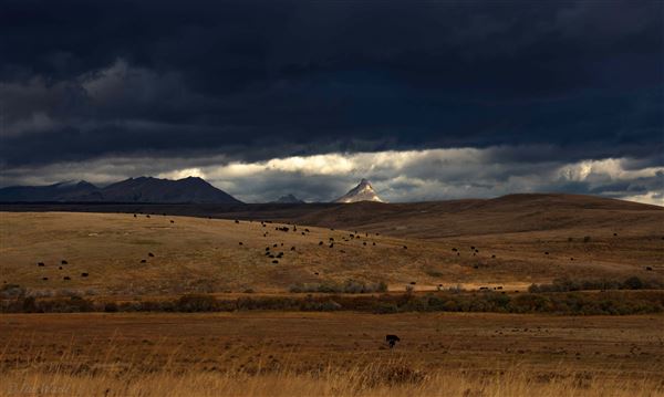 Blackfeet Indian Reservation (1/8/2026 - Credits: Jim Ward)