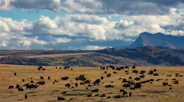 Blackfeet Indian Reservation (1/8/2026 - Credits: Jim Ward)