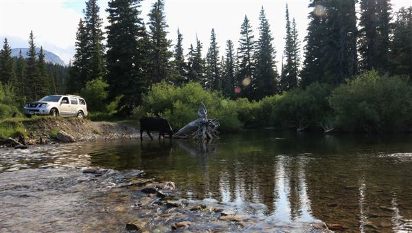 Blackfeet Indian Reservation (1/8/2026 - Credits: Jim Ward)