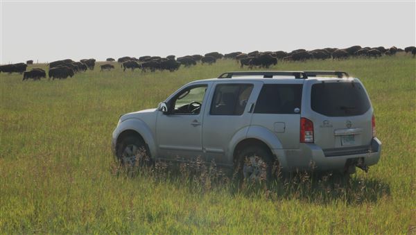 Blackfeet Indian Reservation (1/8/2026 - Credits: Jim Ward)