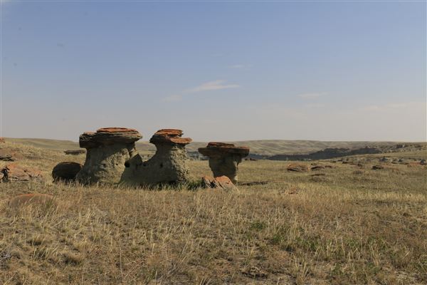 Blackfeet Indian Reservation (1/8/2026 - Credits: Jim ward)