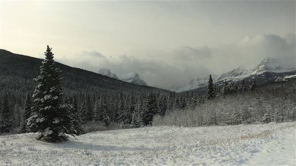 Cut Bank Creek Valley and Overlooks (11/24/2025 - Credits: Jim Ward)