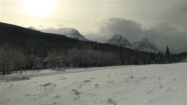 Cut Bank Creek Valley and Overlooks (11/24/2025 - Credits: Jim Ward)