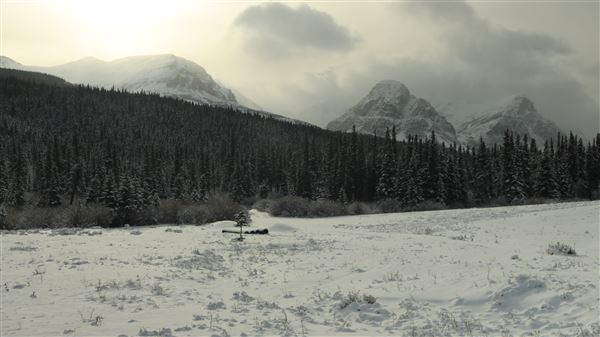 Cut Bank Creek Valley and Overlooks (11/24/2025 - Credits: Jim Ward)