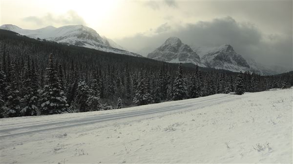 Cut Bank Creek Valley and Overlooks (11/24/2025 - Credits: Jim Ward)