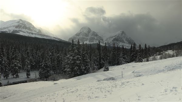 Cut Bank Creek Valley and Overlooks (11/24/2025 - Credits: Jim Ward)