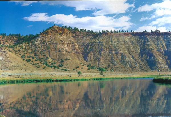 Tongue River (8/12/2007)