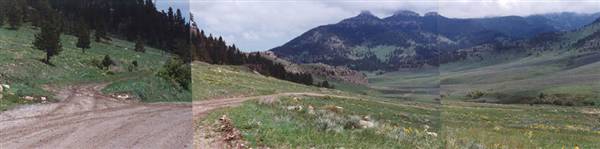 Pryor Mountains (2/1/1991)