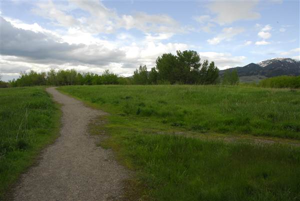 East Gallatin Recreation Area (5/29/2008 - Credits: John Ansotegui)