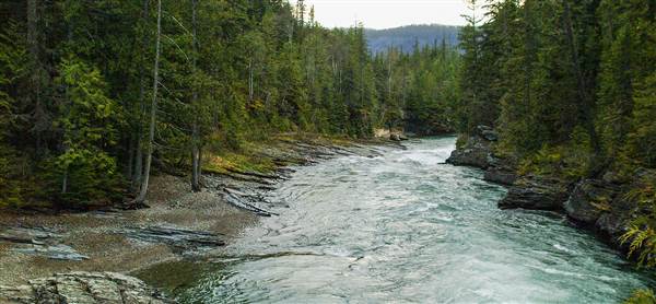 Glacier National Park: McDonald Creek (5/8/2006 - Credits: John Ansotegui)
