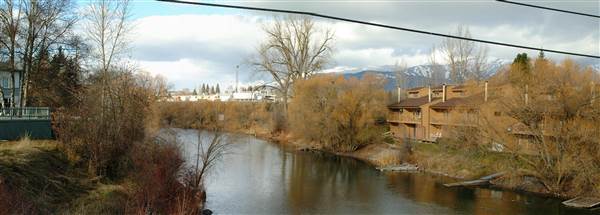 Whitefish (11/28/2004 - Credits: John Ansotegui)