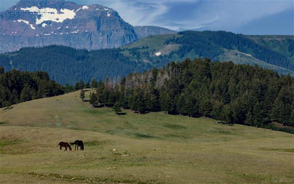 Blackfeet Indian Reservation (1/8/2026 - Credits: Jim Ward)