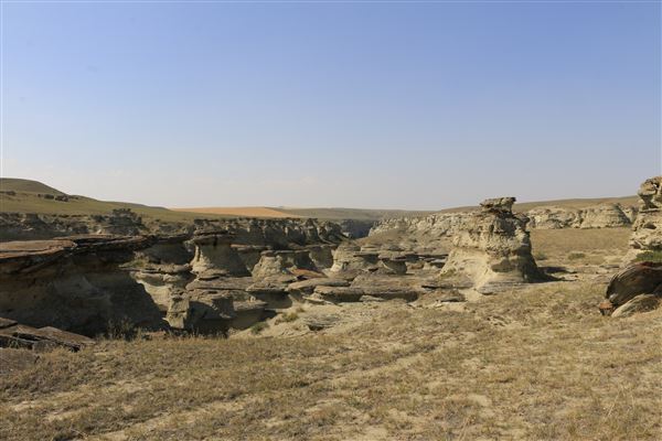 Blackfeet Indian Reservation (1/8/2026 - Credits: Jim Ward)