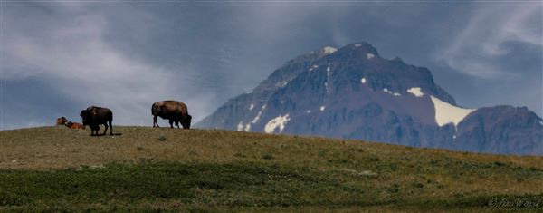 Blackfeet Indian Reservation (1/8/2026 - Credits: Jim Ward)