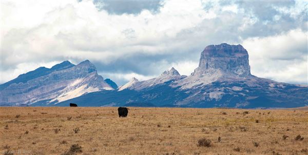 Blackfeet Indian Reservation (1/8/2026 - Credits: Jim Ward)
