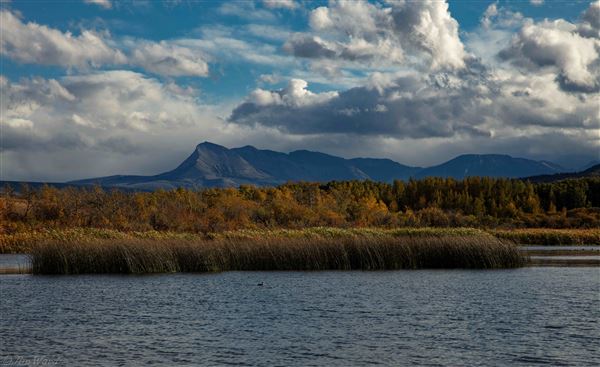 Blackfeet Indian Reservation (1/8/2026 - Credits: Jim Ward)
