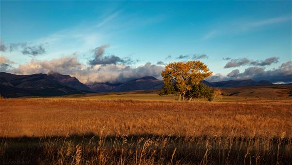 Blackfeet Indian Reservation (1/8/2026 - Credits: Jim Ward)