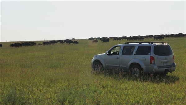 Blackfeet Indian Reservation (1/8/2026 - Credits: Jim Ward)