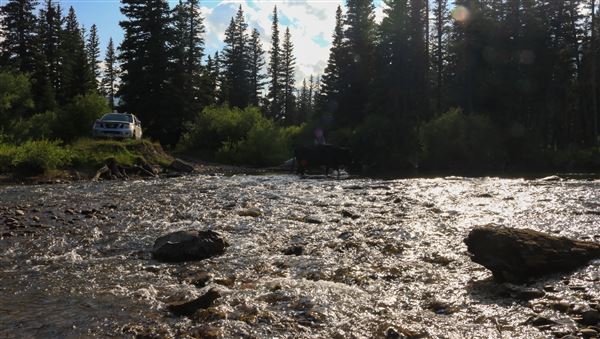 Cut Bank Creek (Confluence) (7/24/2023 - Credits: Jim Ward)