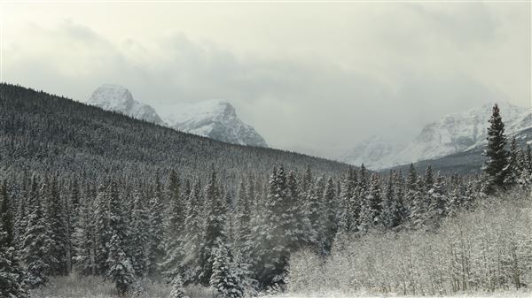 Cut Bank Creek Valley and Overlooks (11/24/2025 - Credits: Jim Ward)