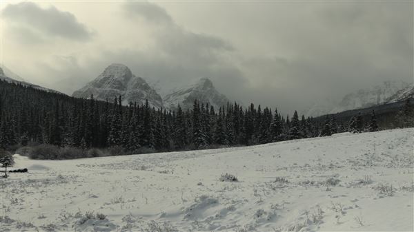 Cut Bank Creek Valley and Overlooks (11/24/2025 - Credits: Jim Ward)