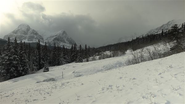Cut Bank Creek Valley and Overlooks (11/24/2025 - Credits: Jim Ward)