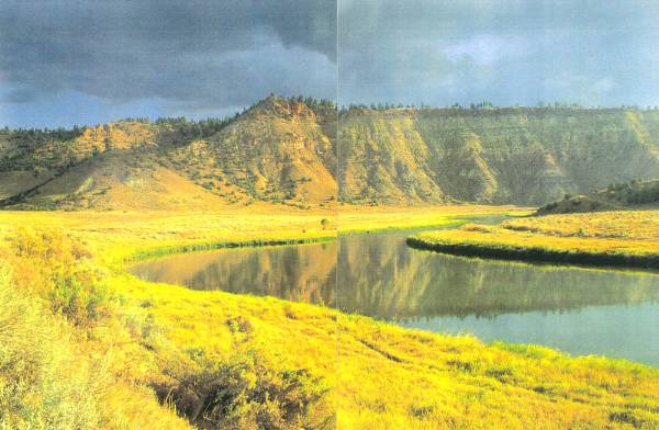 Tongue River (8/12/2007)