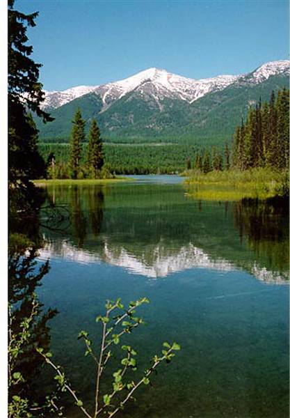 Holland Lake (6/29/2009)