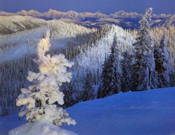 Whitefish Mountain Resort (Big Mountain) (1/19/2005 - Credits: Wayne Mumford)