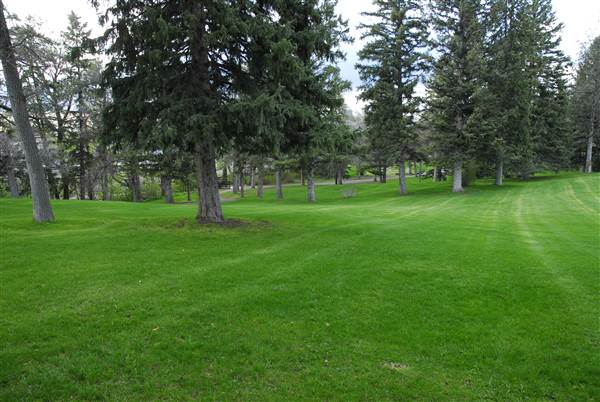 Lindley Park & Cemetery (5/28/2008 - Credits: John Ansotegui)