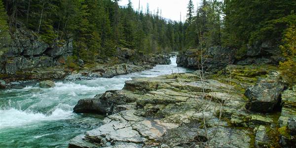 Glacier National Park: McDonald Creek (5/8/2006 - Credits: John Ansotegui)