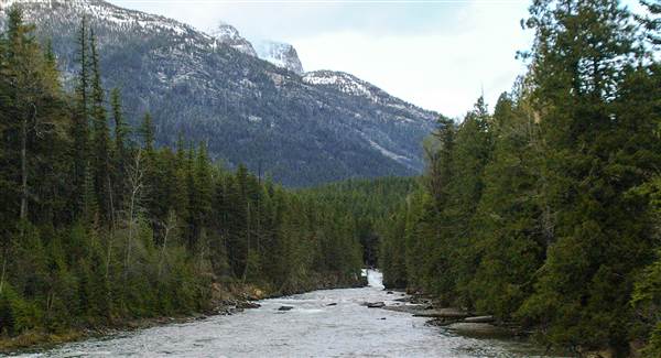 Glacier National Park: McDonald Creek (5/8/2006 - Credits: John Ansotegui)
