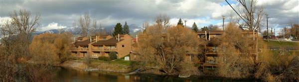 Whitefish (11/28/2004 - Credits: John Ansotegui)
