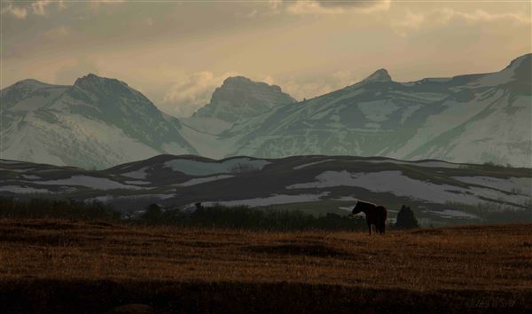 Blackfeet Indian Reservation (1/8/2026)