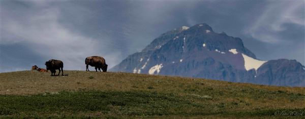 Blackfeet Indian Reservation (1/8/2026 - Credits: Jim Ward)