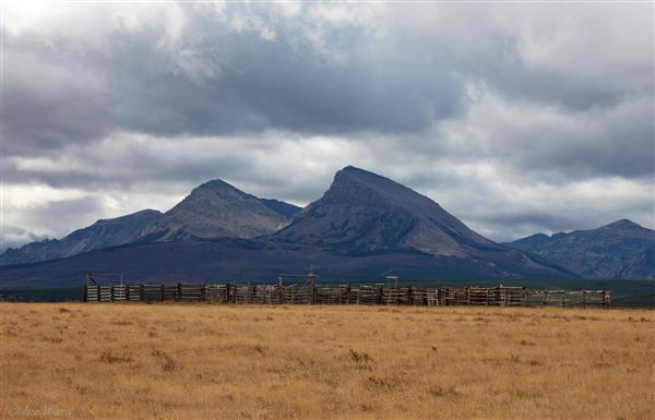 Blackfeet Indian Reservation (1/8/2026 - Credits: Jim Ward)