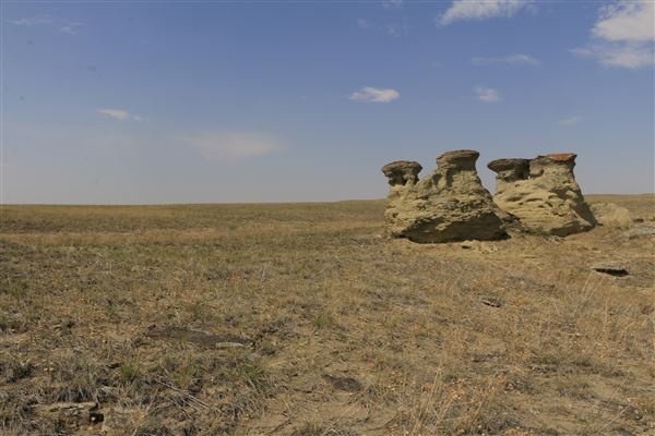 Blackfeet Indian Reservation (1/8/2026 - Credits: Jim ward)