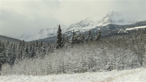 Cut Bank Creek Valley and Overlooks (11/24/2025 - Credits: Jim Ward)