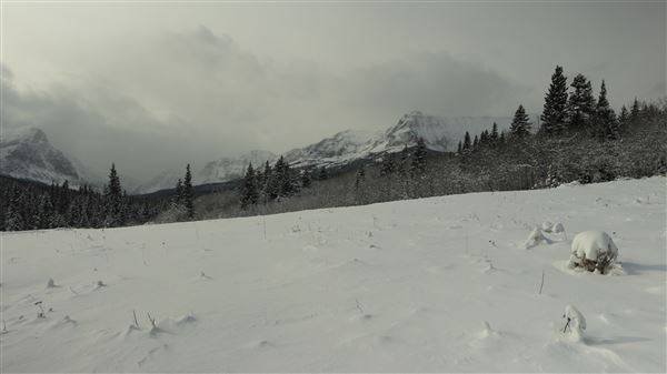 Cut Bank Creek Valley and Overlooks (11/24/2025 - Credits: Jim Ward)