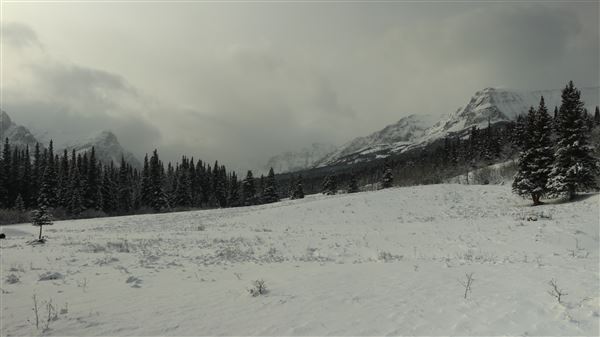 Cut Bank Creek Valley and Overlooks (11/24/2025 - Credits: Jim Ward)