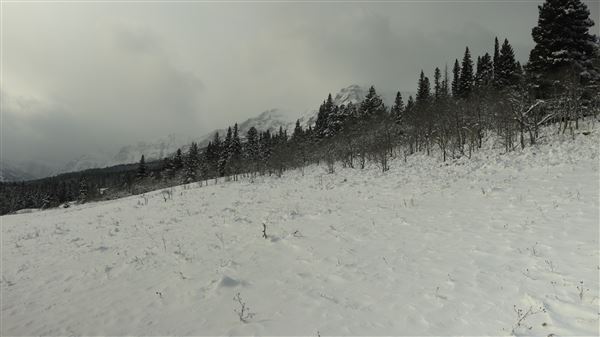 Cut Bank Creek Valley and Overlooks (11/24/2025 - Credits: Jim Ward)