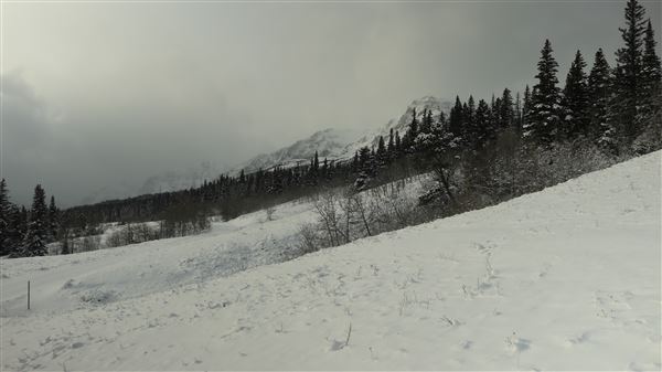 Cut Bank Creek Valley and Overlooks (11/24/2025 - Credits: Jim Ward)