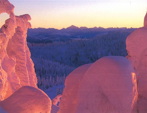 Whitefish Mountain Resort (Big Mountain) - Snow-clad trees atop Big Mountain: Glacier Park Peaks on Horizon (1/19/2005 - Credits: Rick & Susie Graetz)