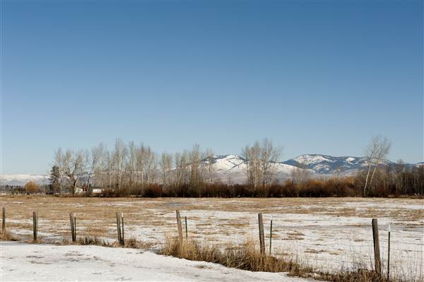 Bitterroot Mountains - Typical view in the valley, looking east (2/4/2012 - Credits: Donnie Sexton)