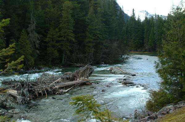 Glacier National Park: McDonald Creek (5/8/2006 - Credits: John Ansotegui)