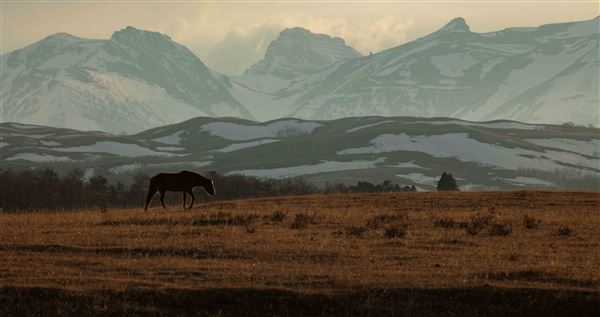 Blackfeet Indian Reservation (1/8/2026)