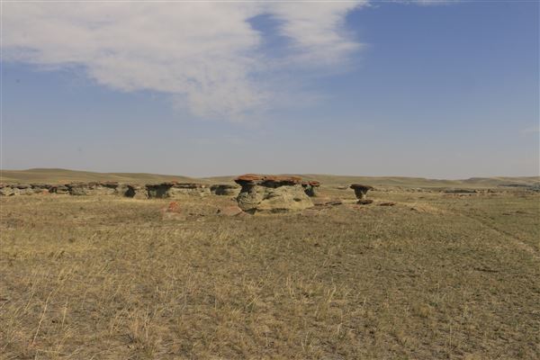 Blackfeet Indian Reservation (1/8/2026 - Credits: Jim Ward)